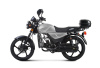 Мопед TMBK ALPHA 50 (110) Grey - купить с доставкой, по выгодной цене в интернет-магазине Мототека